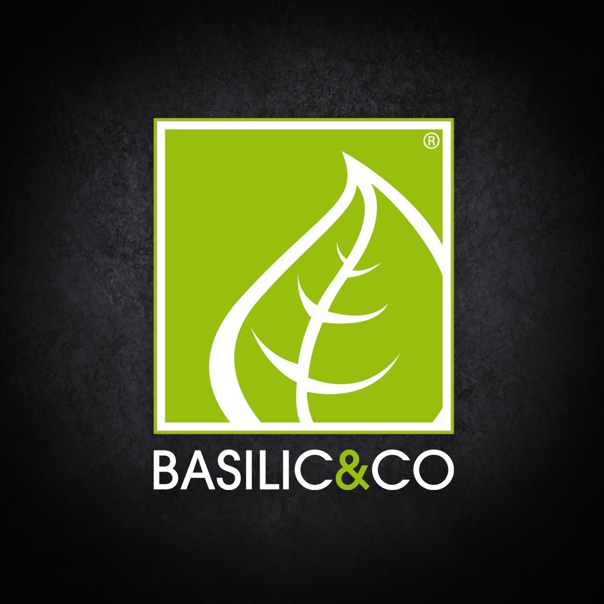 Basilic and co