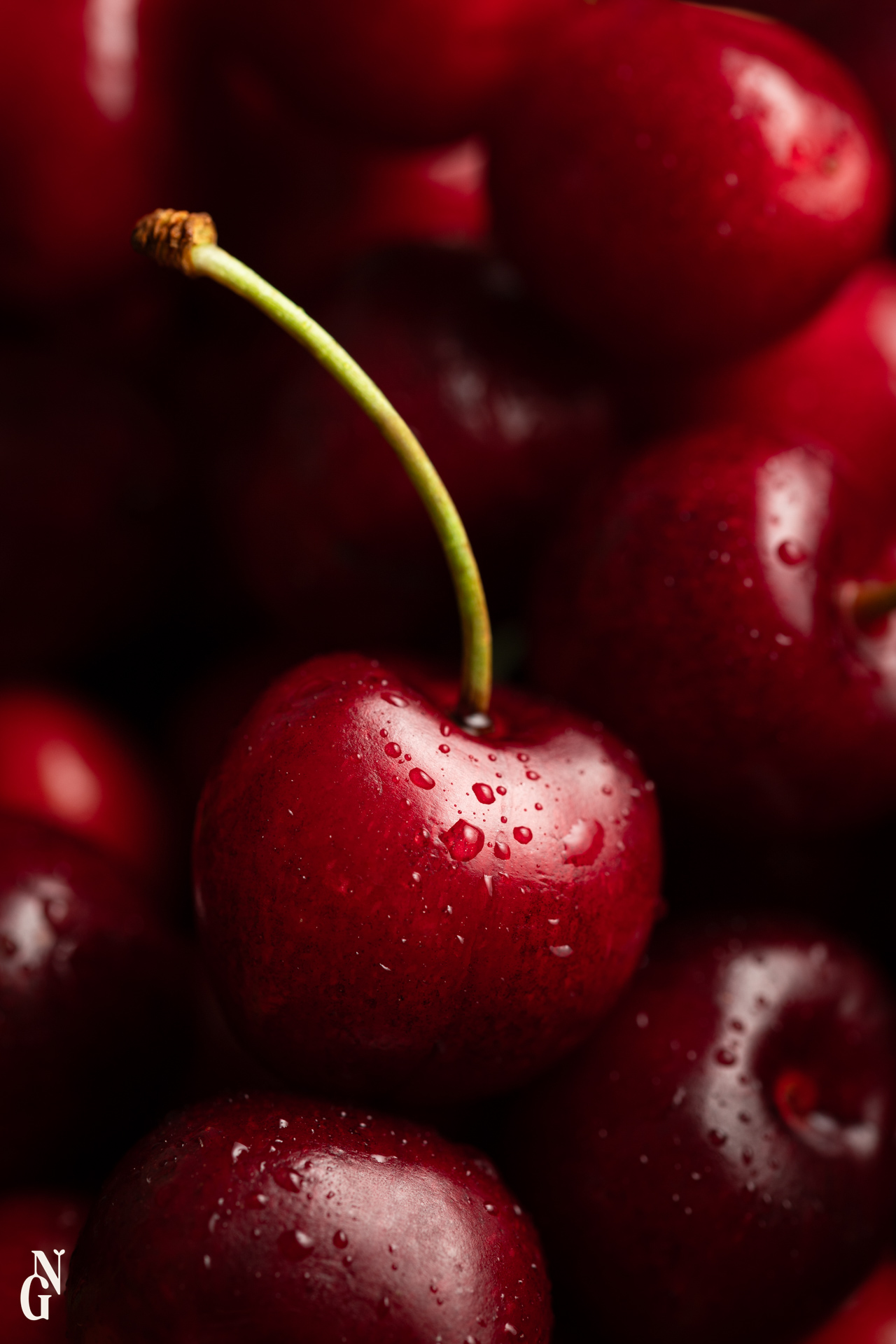 Grenoble-photographe-culinaire