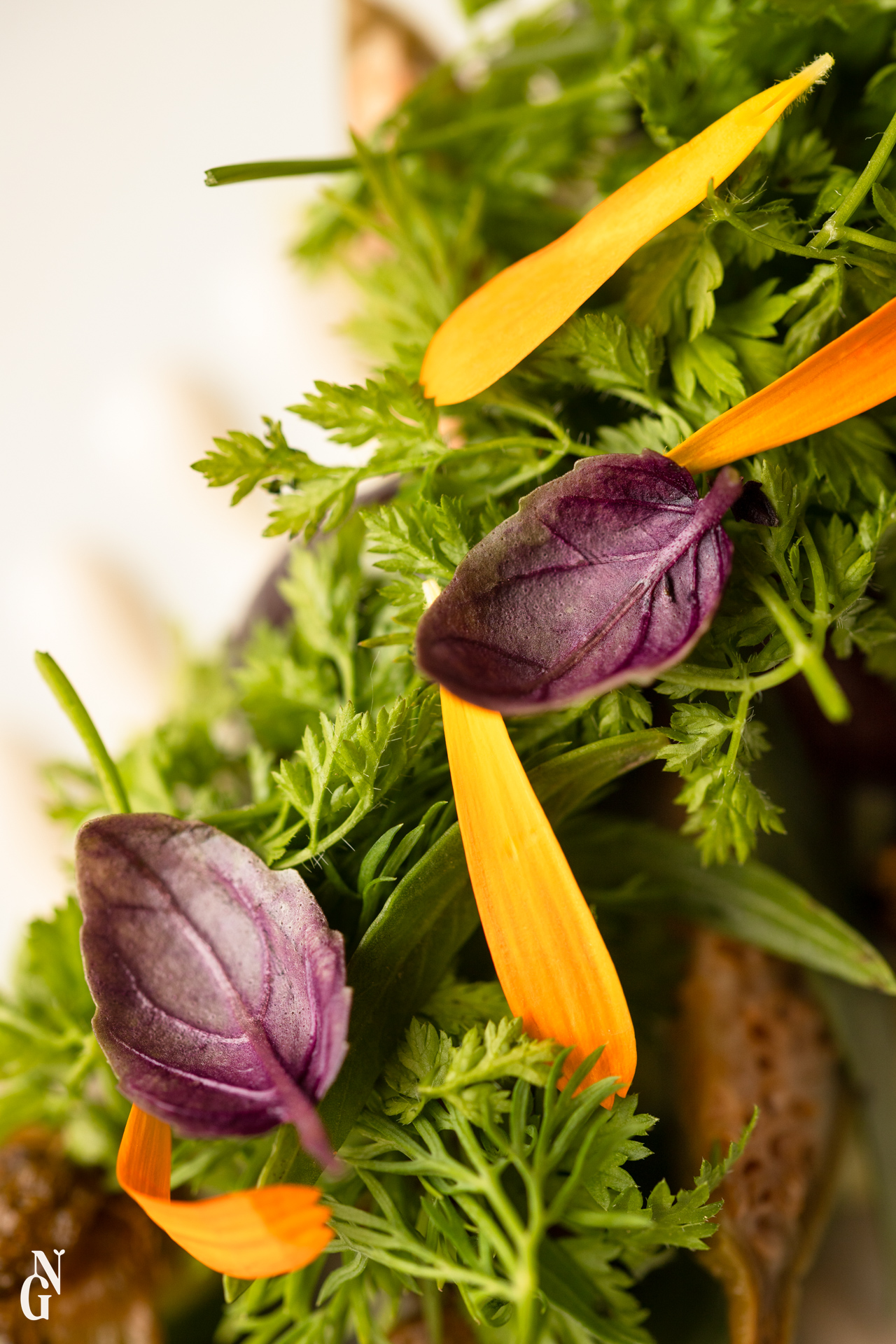 Grenoble-restaurant-photographe-culinaire