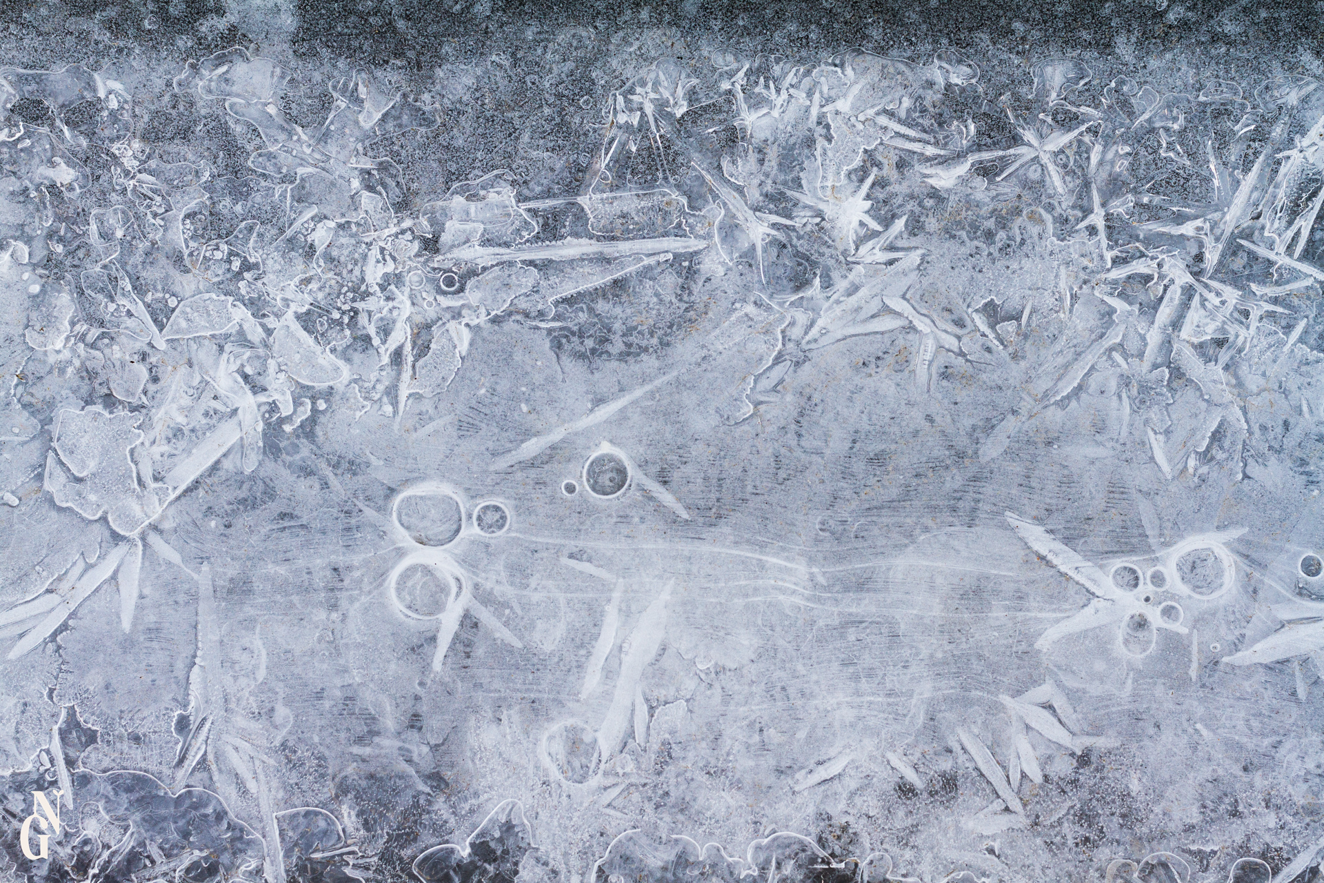 Hiver microscopique exposition 1