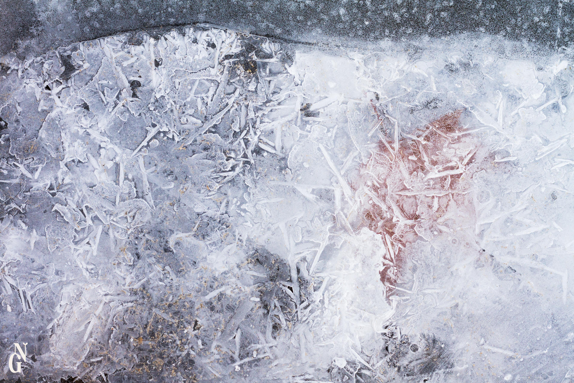 Hiver microscopique exposition 2